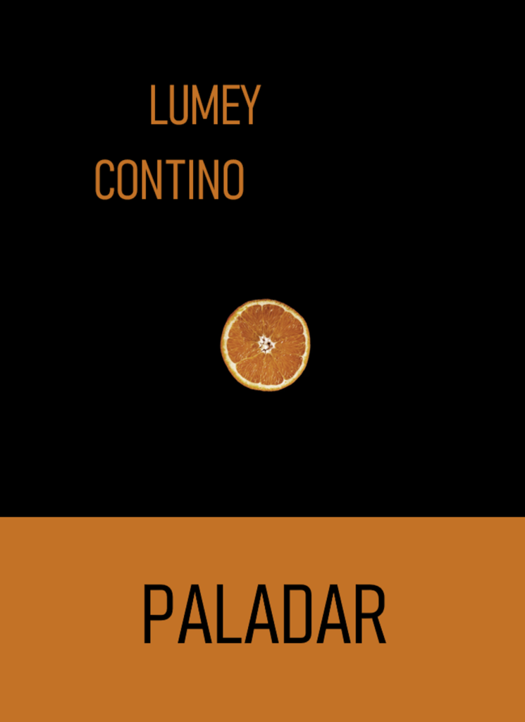 LUMEY CONTINO - LIBRO DE POESÍA CONTEMPORÁNEA - PALADAR